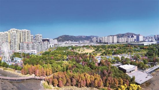 ����������԰��Ƭ��Ҷ������ɼ���Ϻ�װ