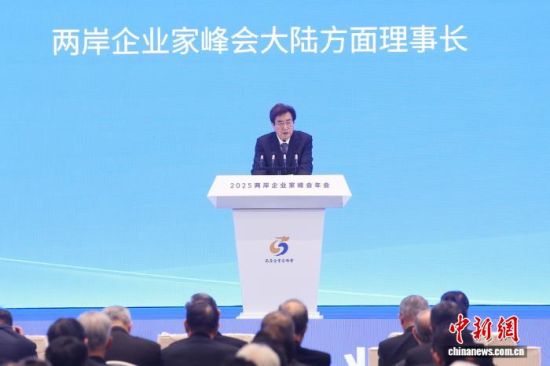 图为两岸企业家峰会大陆方面理事长郭金龙发言。 中新社记者 泱波 摄 图为两岸企业家峰会大陆方面理事长郭金龙发言。 中新社记者 泱波 摄