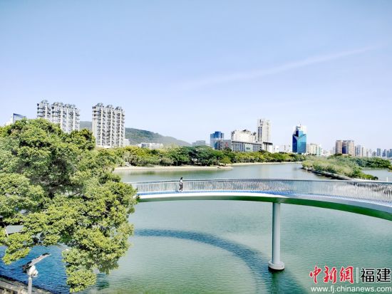 图为美丽筼筜湖。林永传 摄 图为美丽筼筜湖。林永传 摄