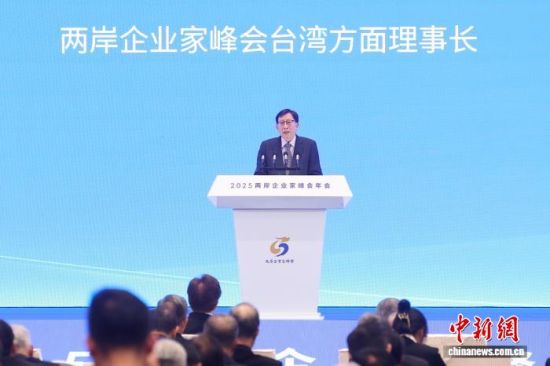 图为两岸企业家峰会台湾方面理事长刘兆玄发言。 中新社记者 泱波 摄 图为两岸企业家峰会台湾方面理事长刘兆玄发言。 中新社记者 泱波 摄