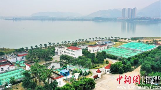 漳州开发区污水处理厂。林家成摄 漳州开发区污水处理厂。林家成摄