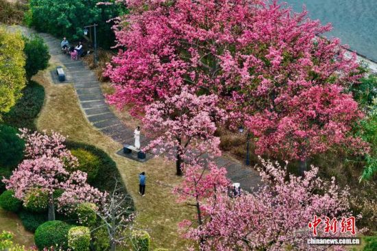 12月19日,福建福州,市民在滨江公园游玩。近日,福州冬日暖阳,不少市民前往公园慢跑、散步,享受着暖冬里的休闲时光。(无人机照片)中新社记者 王东明 摄 12月19日,福建福州,市民在滨江公园游玩。近日,福州冬日暖阳,不少市民前往公园慢跑、散步,享受着暖冬里的休闲时光。(无人机照片)中新社记者 王东明 摄