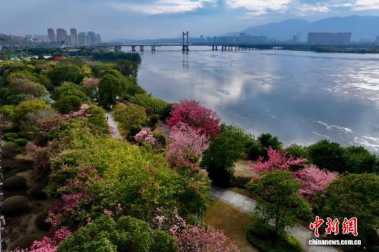 12月19日,航拍福建福州江滨美景。近日,福州冬日暖阳,不少市民前往公园慢跑、散步,享受着暖冬里的休闲时光。(无人机照片)中新社记者 王东明 摄 12月19日,航拍福建福州江滨美景。近日,福州冬日暖阳,不少市民前往公园慢跑、散步,享受着暖冬里的休闲时光。(无人机照片)中新社记者 王东明 摄