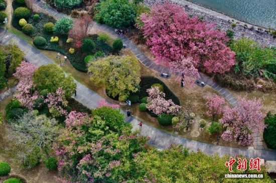 12月19日,航拍福建福州江滨美景。近日,福州冬日暖阳,不少市民前往公园慢跑、散步,享受着暖冬里的休闲时光。(无人机照片)中新社记者 王东明 摄 12月19日,航拍福建福州江滨美景。近日,福州冬日暖阳,不少市民前往公园慢跑、散步,享受着暖冬里的休闲时光。(无人机照片)中新社记者 王东明 摄