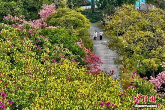 12月19日,福建福州,市民在滨江公园游玩。近日,福州冬日暖阳,不少市民前往公园慢跑、散步,享受着暖冬里的休闲时光。(无人机照片)中新社记者 王东明 摄 12月19日,福建福州,市民在滨江公园游玩。近日,福州冬日暖阳,不少市民前往公园慢跑、散步,享受着暖冬里的休闲时光。(无人机照片)中新社记者 王东明 摄