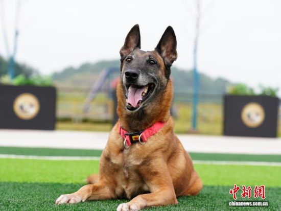 19ÈÕ£¬¸£½¨Ê¡ºìÊ®×Ö¾ÈԮȮ¾ÈÔ®¶Ó³ÉÁ¢ÒÇʽÔÚ¸£½¨Ê¡ÈýÃ÷ÊÐÉ³ÏØÇø¾ÙÐС£Í¼Îª¾ÈԮȮÕÕÆ¬¡£¸£½¨Ê¡ºìÊ®×ֻṩͼ 19ÈÕ£¬¸£½¨Ê¡ºìÊ®×Ö¾ÈԮȮ¾ÈÔ®¶Ó³ÉÁ¢ÒÇʽÔÚ¸£½¨Ê¡ÈýÃ÷ÊÐÉ³ÏØÇø¾ÙÐС£Í¼Îª¾ÈԮȮÕÕÆ¬¡£¸£½¨Ê¡ºìÊ®×ֻṩͼ