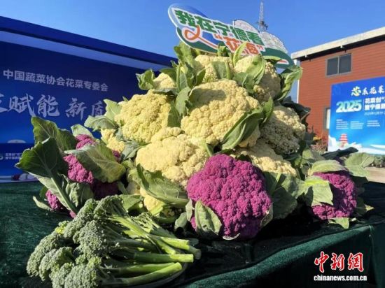 �ֳ�չʾ�Ļ�Ҭ�ˡ����������� Ҷï ��