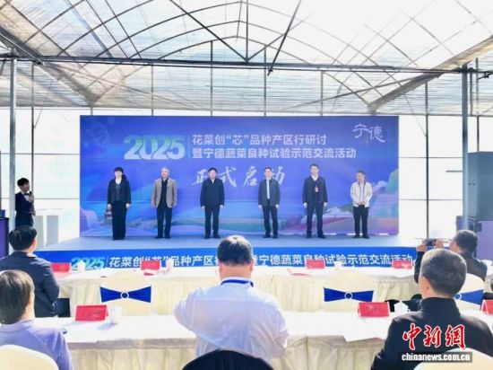 2025�껨�˴���о��Ʒ�ֲ����������������߲���������ʾ�������������ʽ������������ Ҷï ��