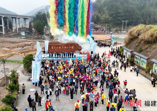 ����������ʽ�ֳ���Ҷ���� ��