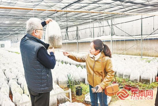 ����Ԯ���ɲ����ң�����������������ʩ��ֲ���أ�Э����Ʒ��פ����˹ũ�ز�Ʒչ�����ġ�