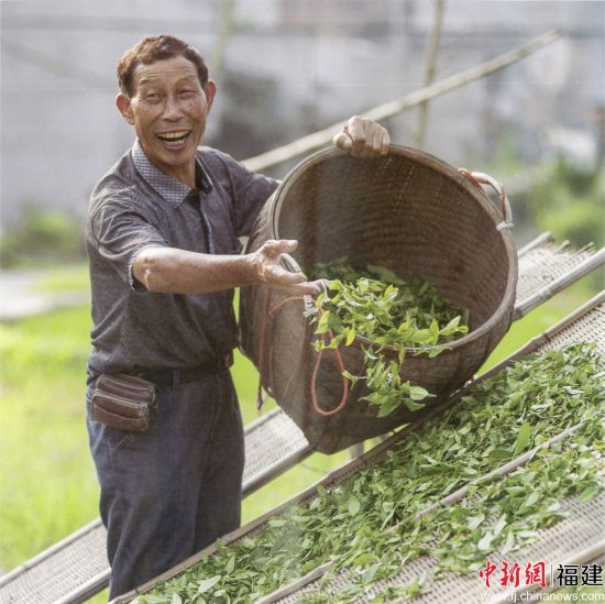 郑帮德。乍洋乡 供图 郑帮德。乍洋乡 供图