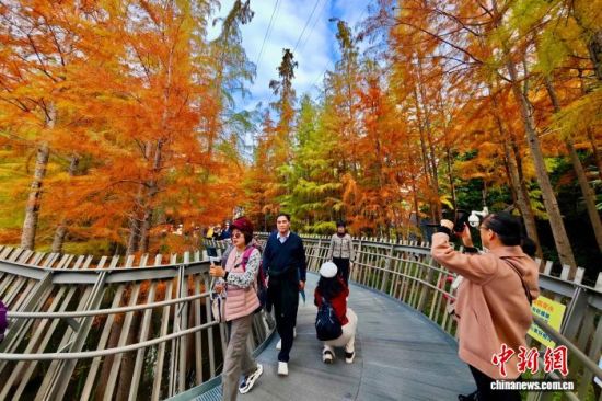 12��22�գ��������ݣ�������ο��ڸ������ͽ�������װ������ˮɼ�֡���������� ������ ��