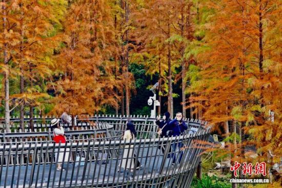 12��22�գ��������ݣ�������ο��ڸ������ͽ�������װ������ˮɼ�֡���������� ������ ��