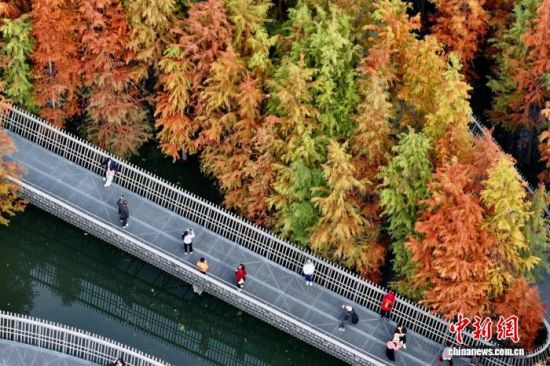 12��22�գ��������ݣ�������ο��ڸ������ͽ�������װ������ˮɼ�֡�(���˻���Ƭ)��������� ������ ��