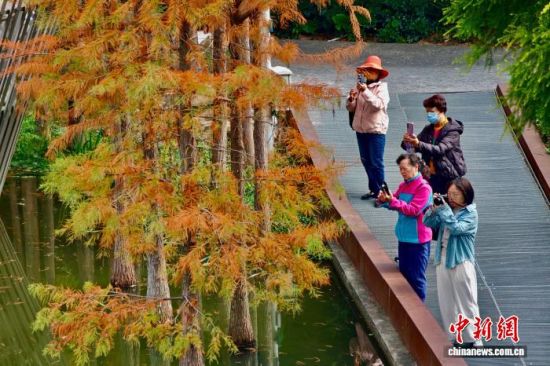 12��22�գ��������ݣ�������ο��ڸ������ͽ�������װ������ˮɼ�֡���������� ������ ��