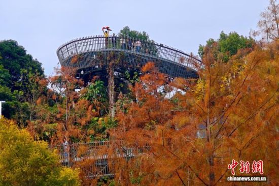 12��22�գ��������ݣ�������ο��ڸ������ͽ�������װ������ˮɼ�֡���������� ������ ��