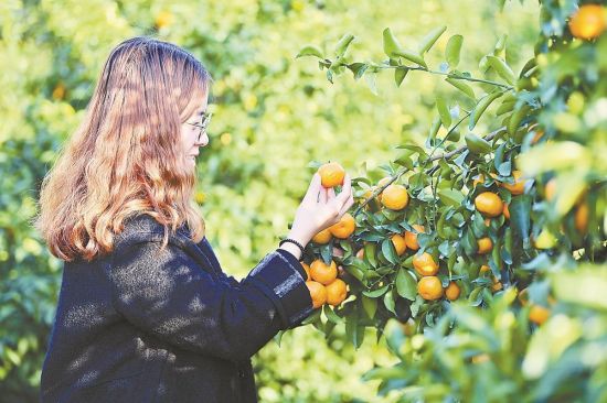 �ο���԰��ժɰ���١� ����ΰ ��