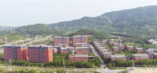 ��������ҽҩ�� ����ɳ ����