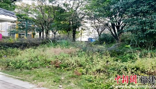 С��һ�Ǹ���ǰ