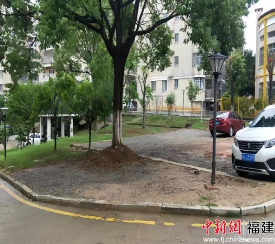 ������С��������ˬ�������ٳ�����ͣ��λ��