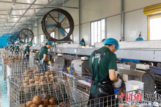 ��ӡ�ᡰ����˫԰��Ҭ�Ӽӹ������ߡ�������Ӱ�����Ĺ�ͼ