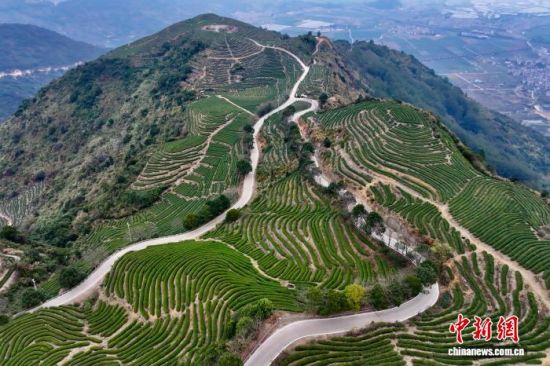 12��31�գ����ĸ���ʡ�����ظ�ɽ��԰��(���˻���Ƭ)��������� ������ ��