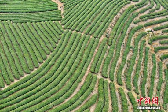 12��31�գ����ĸ���ʡ�����ظ�ɽ��԰��(���˻���Ƭ)��������� ������ ��