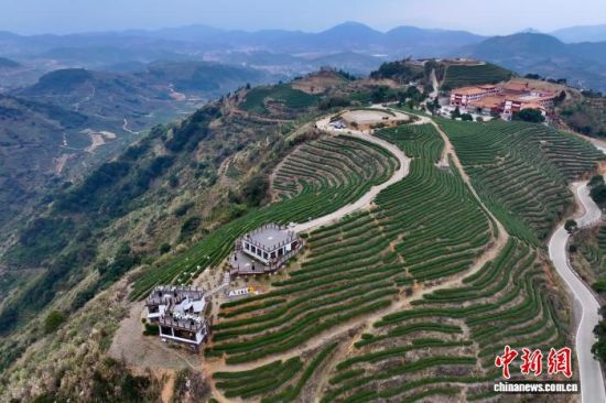 12��31�գ����ĸ���ʡ�����ظ�ɽ��԰��(���˻���Ƭ)��������� ������ ��