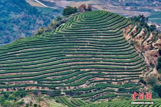 12��31�գ����ĸ���ʡ�����ظ�ɽ��԰��(���˻���Ƭ)��������� ������ ��