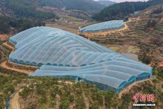 ͼΪ��ǰ��������Ľ�̴��(���˻�����)�������