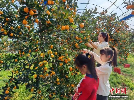 ͼΪ�ο��ڴ����ڲ�ժ��̡��׳�����