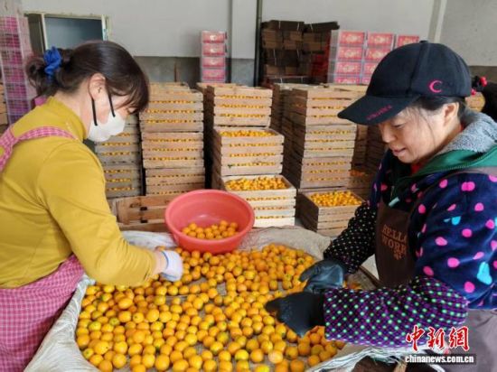 ͼΪ�����ڷּ��̡��׳�����