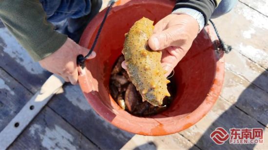 ȥ��Ͷ�ŵĺ��γ���ϲ�ˡ�ϼ������ý������ ��ͼ