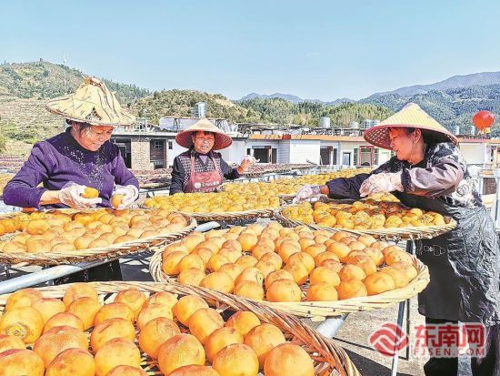 村民趁着天气晴好晒柿饼。 村民趁着天气晴好晒柿饼。