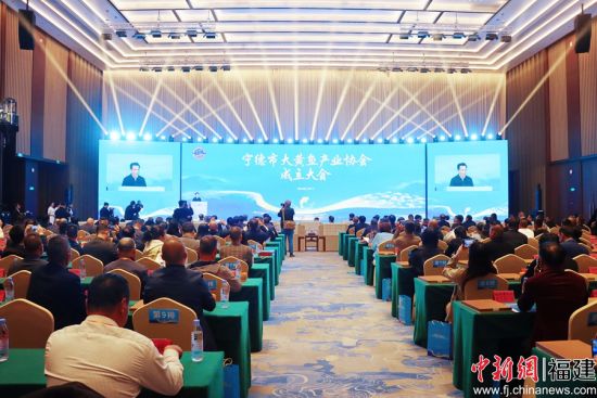 2025年11月18日,宁德市大黄鱼产业协会第一届第一次会员代表大会暨成立大会举行。叶金秋 摄 2025年11月18日,宁德市大黄鱼产业协会第一届第一次会员代表大会暨成立大会举行。叶金秋 摄