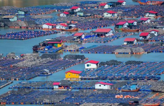 罗源湾鉴江海域,改造后的新型渔排。 陈世强 摄 罗源湾鉴江海域,改造后的新型渔排。 陈世强 摄