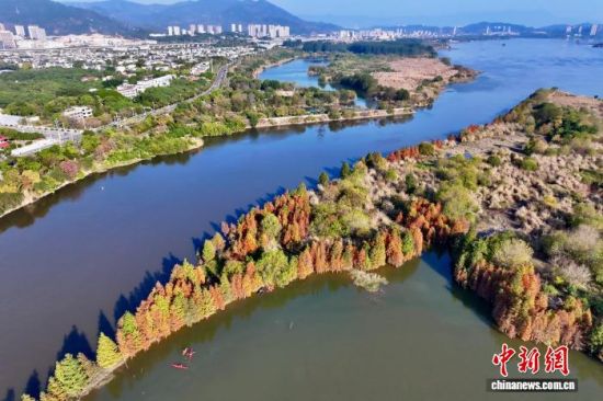 1月7日,空中航拍福建省福州市闽侯县湿地公园。(无人机照片)中新社记者 王东明 摄 1月7日,空中航拍福建省福州市闽侯县湿地公园。(无人机照片)中新社记者 王东明 摄