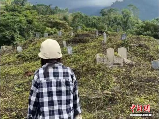 2025年10月,四川南充青年何娜在位于台湾阿里山的墓群中寻找山东老兵的墓地。(受访者供图) 2025年10月,四川南充青年何娜在位于台湾阿里山的墓群中寻找山东老兵的墓地。(受访者供图)