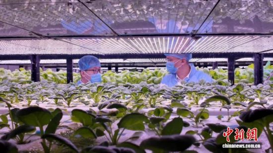 2025��12�£�������(ͼ��)�빤����Ա�鿴ֲ�﹤��������ﳤ�ơ����Կ� ��