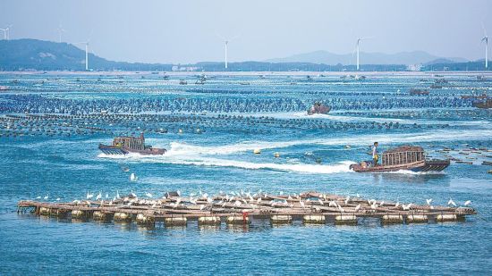 ¶«É½ÏØÎ÷ÆÒÕò¶¬¹Å´åÉú̬ÄÁ³¡ £¨¸£½¨Ê¡Å©ÒµÅ©´åÌü¹©Í¼£© ¶«É½ÏØÎ÷ÆÒÕò¶¬¹Å´åÉú̬ÄÁ³¡ £¨¸£½¨Ê¡Å©ÒµÅ©´åÌü¹©Í¼£©