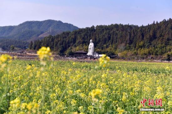 ͼΪ������ǰ�Ͳ˻�����(���˻�����)���������� ������ ��