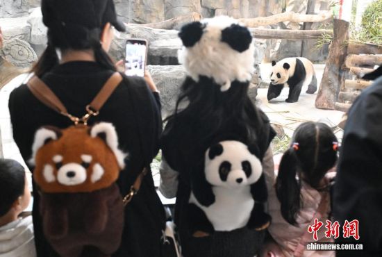 图为游客在园区参观。中新社记者 吕明 摄 图为游客在园区参观。中新社记者 吕明 摄