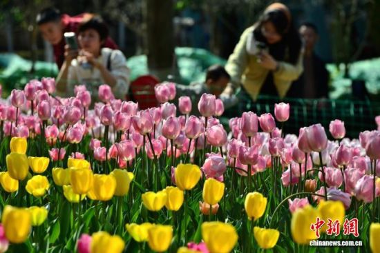 1��17�գ������ж�ͯ��԰����ֲ�Ķ��Ʒ�������㣬½��ӭ�����ڣ���������ǰ�����ʹ򿨡���������� �ű� ��