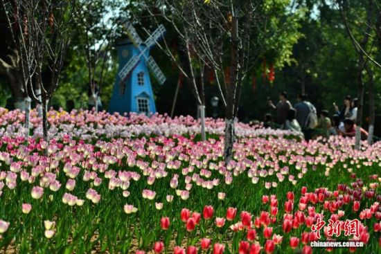 1��17�գ������ж�ͯ��԰����ֲ�Ķ��Ʒ�������㣬½��ӭ�����ڣ���������ǰ�����ʹ򿨡���������� �ű� ��