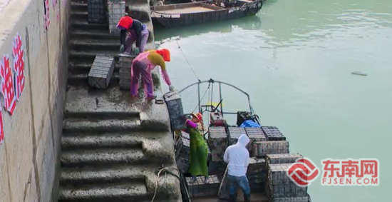 ��ҵ�뵺��600�໧��ֳ���ȶ�����