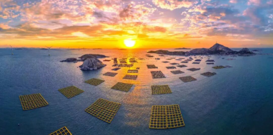 ���������յ���������ձ���ֳ���� ��Դ����������