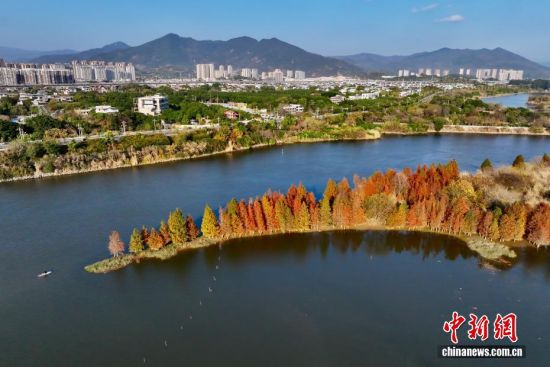 1��19�գ����ĸ������ݽ���ˮɼ�֡������˻���Ƭ����������� ������ ��