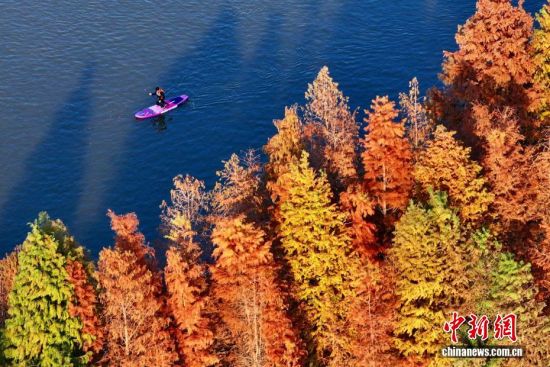 1��19�գ����尮���߻������ݽ���ˮɼ�֡������˻���Ƭ����������� ������ ��