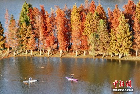 1��19�գ����ݽ���ˮɼ���ԣ����尮���������棬������Ȼ֮Ȥ�������˻���Ƭ����������� ������ ��