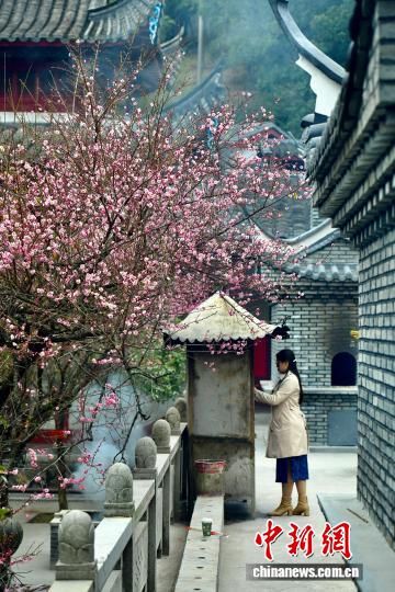 1��20�գ��������ݣ��ο���ǧ���ɲ���������㡣��������� ������ ��